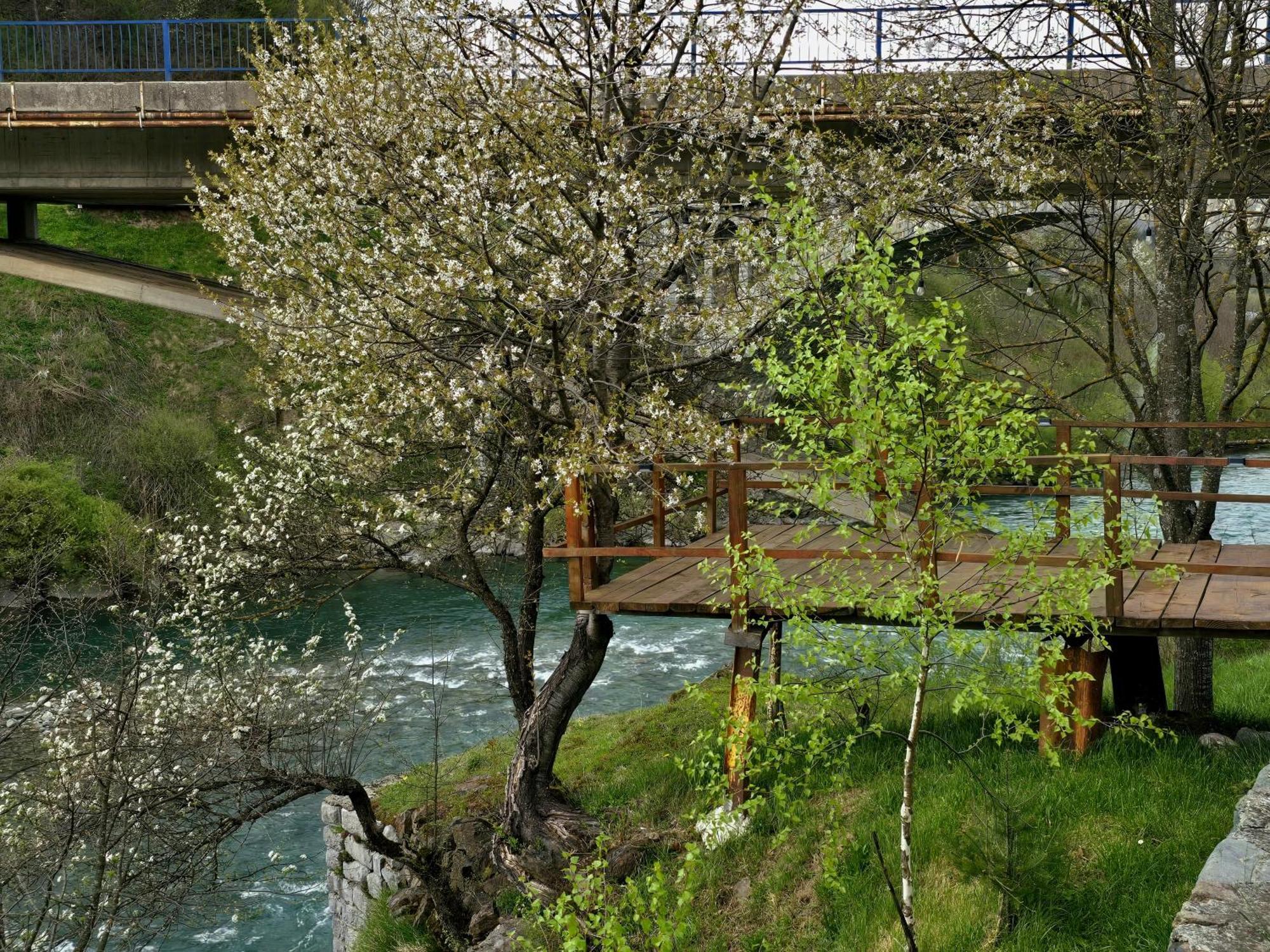Tara Riverside Mojkovac Luaran gambar
